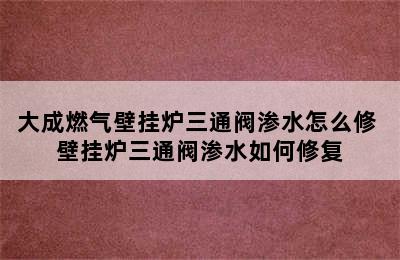 大成燃气壁挂炉三通阀渗水怎么修 壁挂炉三通阀渗水如何修复